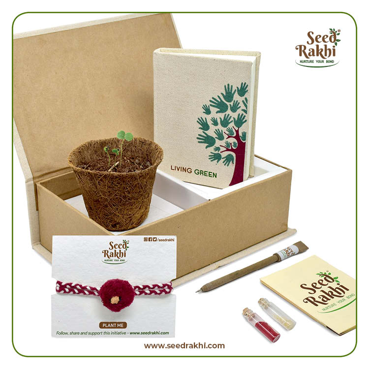 Seed Rakhi 3.1