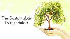 sustainable lifestyle